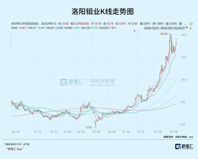 洛陽鉬業(yè)股票今日股價(jià)分析與展望，洛陽鉬業(yè)股票今日行情分析與展望