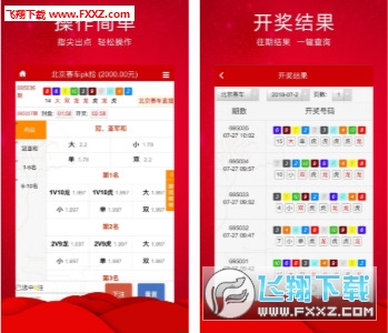 王中王三肖必出一肖，深度解析與探索，王中王三肖必出一肖，深度解析與探索揭秘