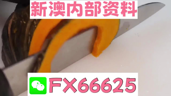 澳門管家婆，揭秘精準預測的秘密武器，澳門管家婆揭秘，精準預測的秘密武器全解析