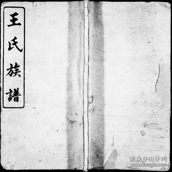 小魚(yú)兒一肖王中王興典，探索背后的故事與奧秘，小魚(yú)兒一肖王中王興典，背后的故事與奧秘揭秘