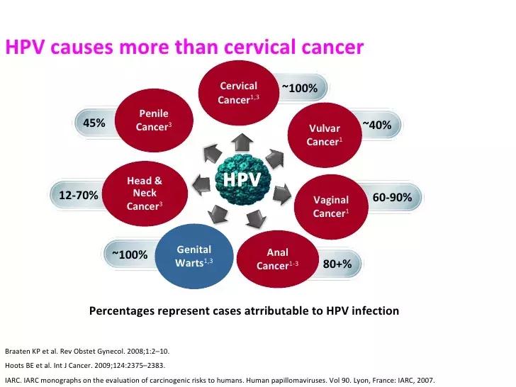 HPV52陽性可以自愈嗎？詳解HPV感染與身體康復(fù)之路，HPV52陽性能否自愈？HPV感染與身體康復(fù)的詳解之路