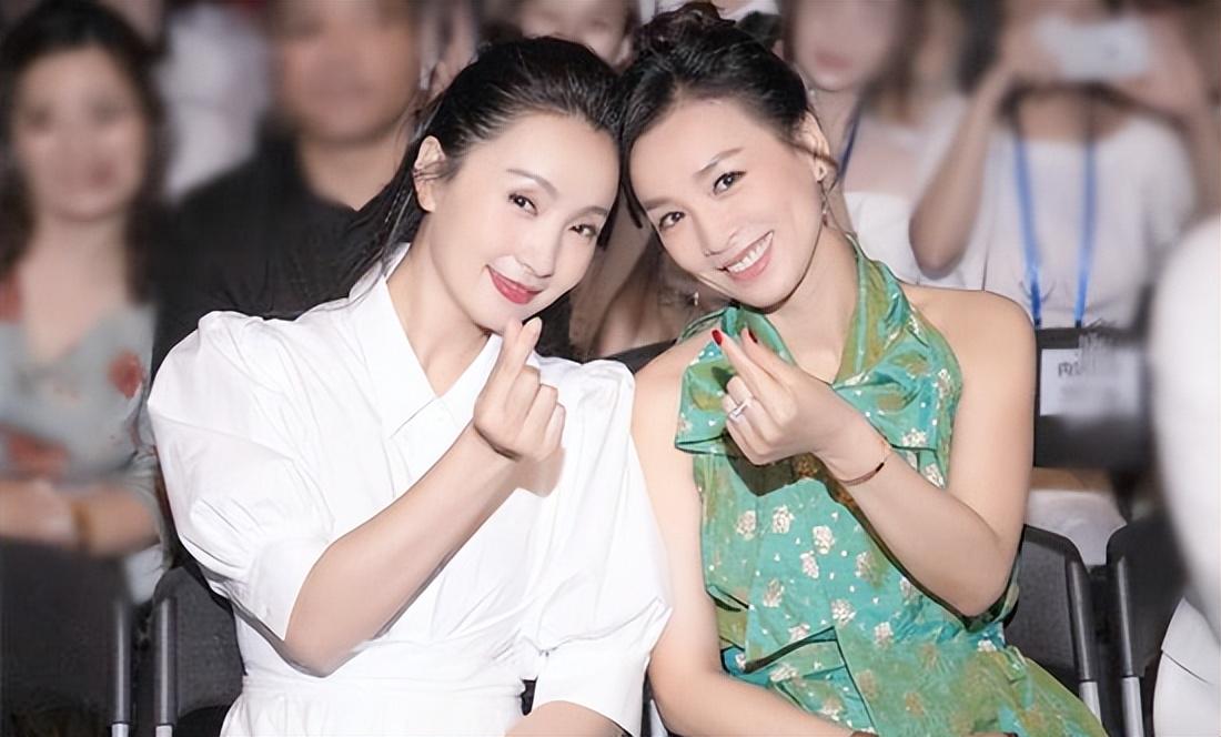 陶虹張庭事件，深度解析背后的真相與影響，陶虹張庭事件深度揭秘，真相與影響探究
