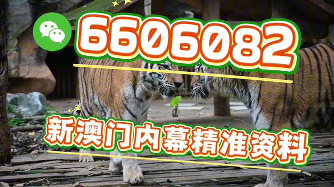 澳門今晚必開一肖一特，探索生肖彩票的魅力與預(yù)測，澳門生肖彩票探索，魅力揭秘與今晚預(yù)測一肖一特