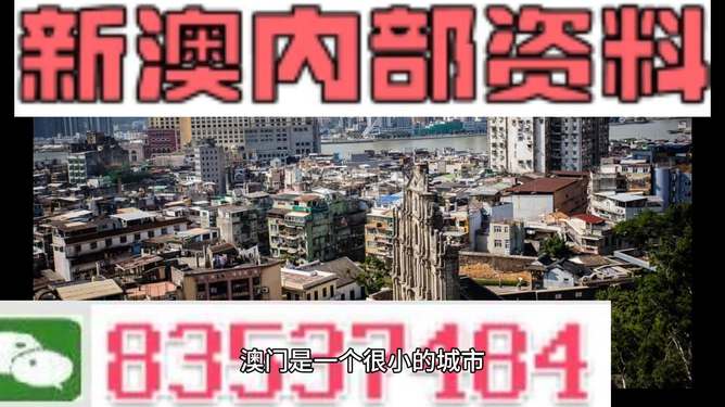 新澳門精準四肖期準，探索背后的秘密與策略，澳門精準四肖期背后的秘密與策略探索