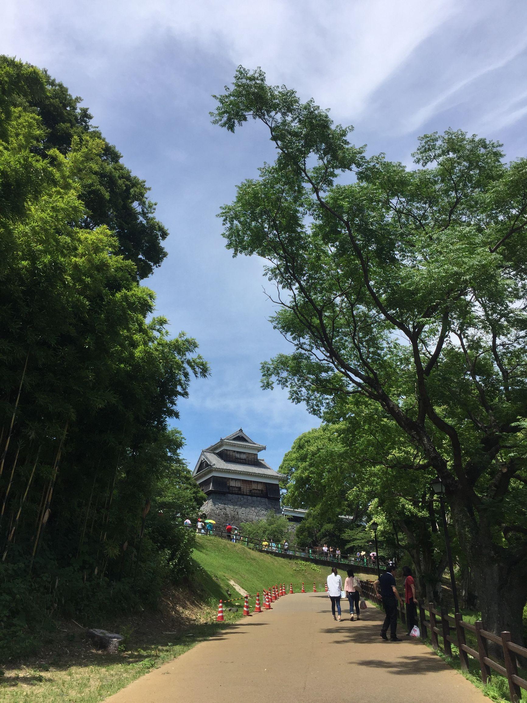 上海游輪旅游路線及價(jià)格詳解，上海游輪旅游路線與價(jià)格全面解析