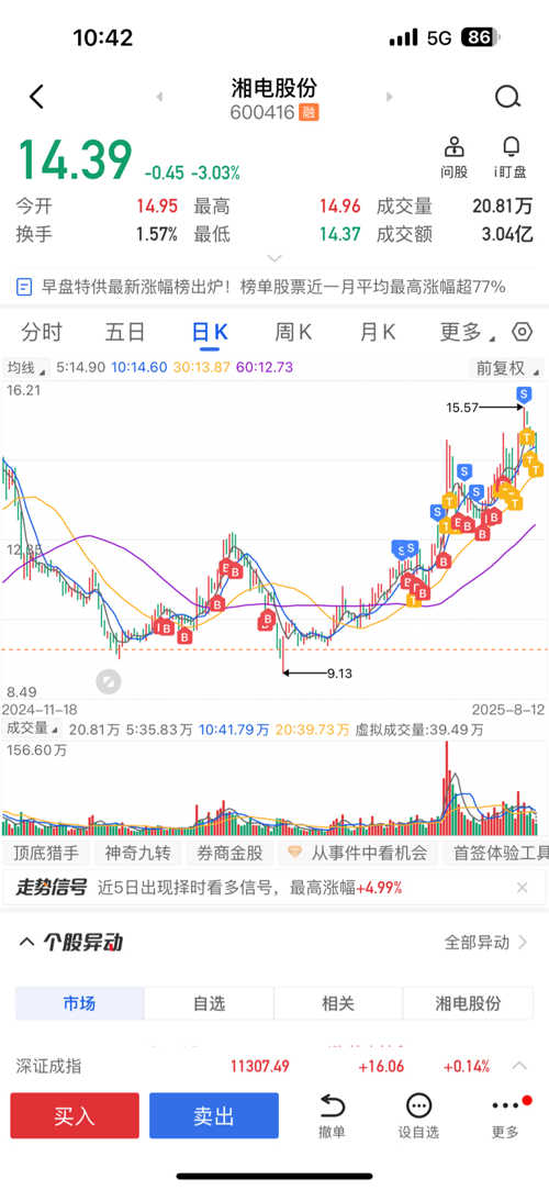 湘電股份股票，深度解析與前景展望，湘電股份股票深度解析及前景展望